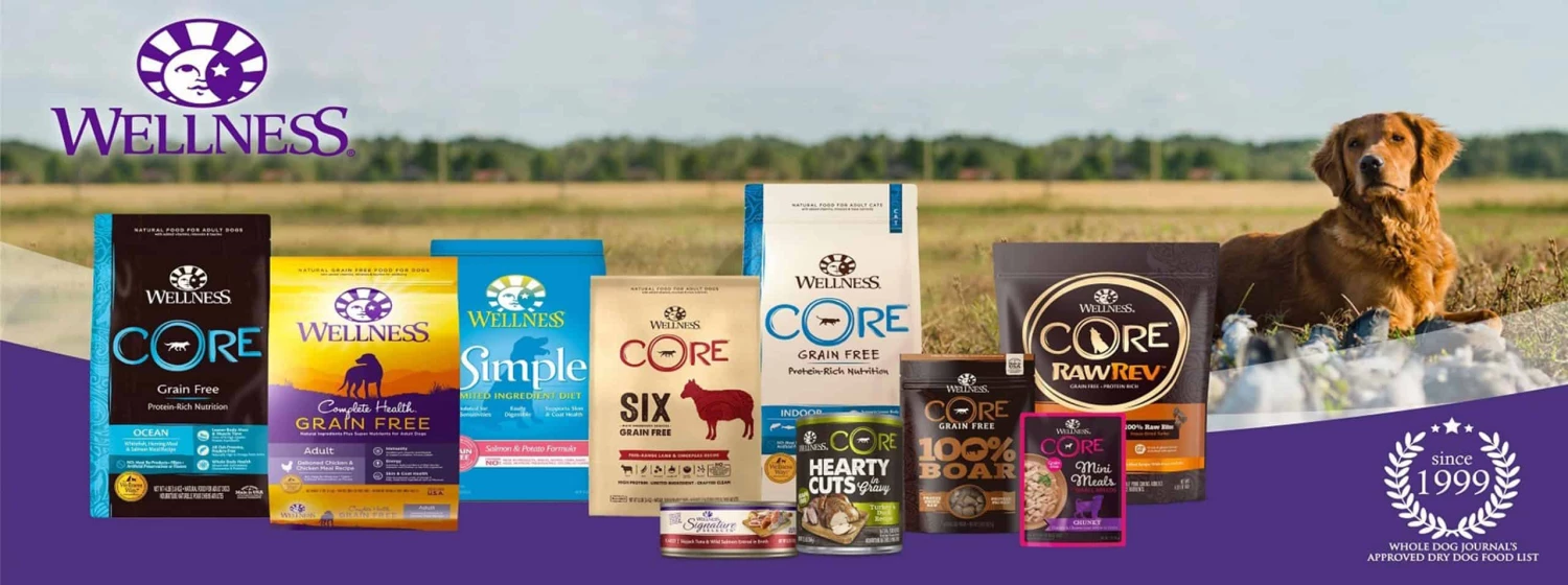 Wellness CORE || Caitec Sales 2022 -Wellness CORE || Caitec Sales 2022 1