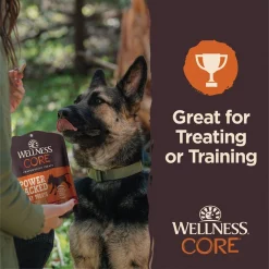 Wellness CORE Power Packed Chicken Grain Free Jerky Dog Treats -Wellness CORE || Caitec Sales 2022 104737 PT4. SY630 V1648147618
