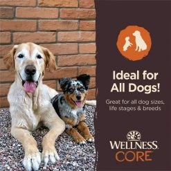 Wellness CORE Power Packed Chicken Grain Free Jerky Dog Treats -Wellness CORE || Caitec Sales 2022 104737 PT6. SY630 V1648148194