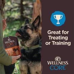 Wellness CORE Power Packed Venison Grain-Free Jerky Dog Treats -Wellness CORE || Caitec Sales 2022 104809 PT4. SY630 V1644904886