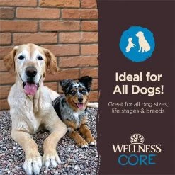 Wellness CORE Power Packed Venison Grain-Free Jerky Dog Treats -Wellness CORE || Caitec Sales 2022 104809 PT6. SY630 V1644906750
