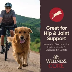 Wellness CORE Healthy Joints Beef Grain-Free Crunchy Dog Treats -Wellness CORE || Caitec Sales 2022 104811 PT4. SY630 V1644913957