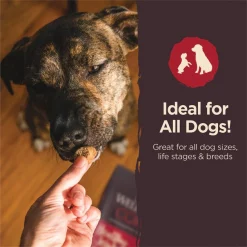 Wellness CORE Healthy Joints Beef Grain-Free Crunchy Dog Treats -Wellness CORE || Caitec Sales 2022 104811 PT6. SY630 V1644904915
