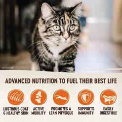 Wellness CORE Grain-Free Original Formula Dry Cat Food -Wellness CORE || Caitec Sales 2022 119552 PT2. SY630 V1636553845