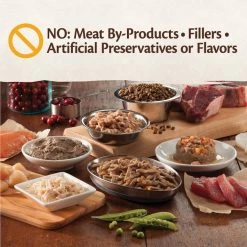 Wellness CORE Grain-Free Indoor Formula Dry Cat Food -Wellness CORE || Caitec Sales 2022 119559 PT8. SY630 V1537539796