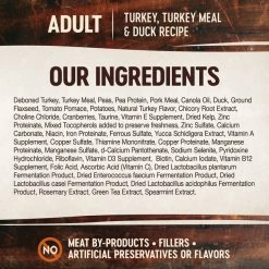 Wellness CORE Grain-Free Turkey, Turkey Meal & Duck Formula Dry Cat Food -Wellness CORE || Caitec Sales 2022 119560 PT3. SY630 V1636553489