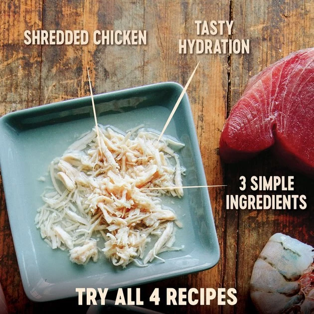 Wellness CORE Simply Shreds Grain-Free Boneless Chicken Wet Cat Food Topper 4 Wellness CORE Simply Shreds Grain-Free Boneless Chicken Wet Cat Food Topper - Image 2