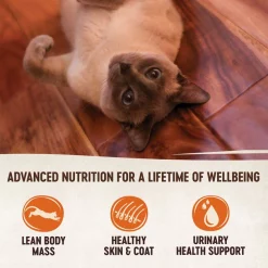Wellness CORE Simply Shreds Grain-Free Boneless Chicken Wet Cat Food Topper 11 Wellness CORE Simply Shreds Grain-Free Boneless Chicken Wet Cat Food Topper -Wellness CORE || Caitec Sales 2022 120799 PT2. SY630 V1594831593