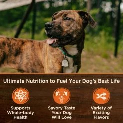 Wellness CORE Simply Shreds Tuna, Beef & Carrots Wet Dog Food Topper 11 Wellness CORE Simply Shreds Tuna, Beef & Carrots Wet Dog Food Topper -Wellness CORE || Caitec Sales 2022 120809 PT2. SY630 V1613573530