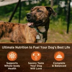 Wellness CORE 95% Grain-Free Chicken & Broccoli Canned Dog Food -Wellness CORE || Caitec Sales 2022 120811 PT2. SY630 V1613573476