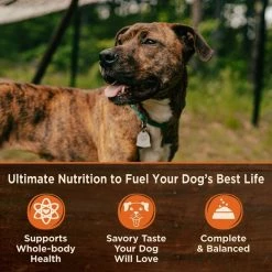 Wellness CORE 95% Grain-Free Turkey & Spinach Canned Dog Food -Wellness CORE || Caitec Sales 2022 120813 PT2. SY630 V1613573196