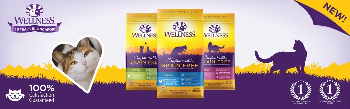 Wellness CORE || Caitec Sales 2022 -Wellness CORE || Caitec Sales 2022 2