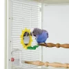 Caitec Featherland Paradise Sunburst Mirror Bird Toy -Wellness CORE || Caitec Sales 2022 228257 MAIN. SY630 V1585086361
