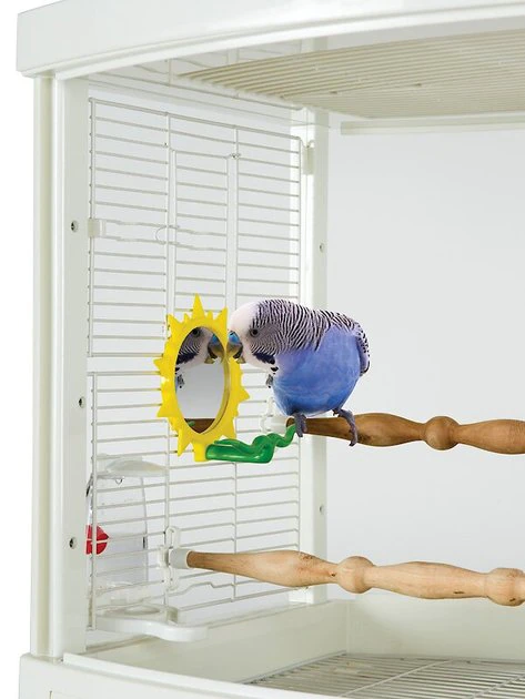 Caitec Featherland Paradise Sunburst Mirror Bird Toy 3 Caitec Featherland Paradise Sunburst Mirror Bird Toy