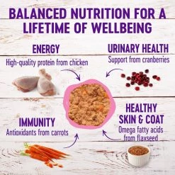 Wellness Complete Health Kitten Formula Grain-Free Canned Food + CORE Natural Grain-Free Turkey & Chicken Liver Pate Canned Kitten Food -Wellness CORE || Caitec Sales 2022 294276 PT2. SY630 V1621981987