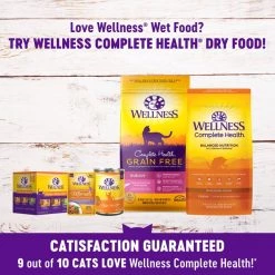 Wellness Complete Health Kitten Formula Grain-Free Canned Food + CORE Natural Grain-Free Turkey & Chicken Liver Pate Canned Kitten Food -Wellness CORE || Caitec Sales 2022 294276 PT4. SY630 V1621991252