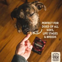 Wellness CORE Grain-Free Senior Deboned Turkey Recipe Dry Dog Food, 24-lb bag + Wellness CORE Grain-Free Marrow Roasts Hearty Beef Recipe Dog Treats, 8-oz bag -Wellness CORE || Caitec Sales 2022 298710 PT7. SY630 V1621990967