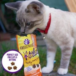 Wellness Kittles Grain-Free Salmon & Cranberries Recipe Crunchy Cat Treats, 6-oz bag + Wellness CORE Natural Grain-Free Turkey & Chicken Liver Pate Canned Kitten Food, 3-oz, case of 12 -Wellness CORE || Caitec Sales 2022 298726 PT6. SY630 V1621989169