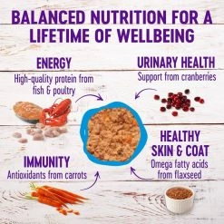 Wellness Seafood Pate Favorites Canned Cat Food, 3-oz, case of 24 + Wellness CORE Signature Selects Flaked Skipjack Tuna & Wild Salmon Entree in Broth Grain-Free Canned Cat Food, 5.3-oz, case of 12 -Wellness CORE || Caitec Sales 2022 298732 PT6. SY630 V1621984075