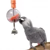 Caitec Featherland Paradise Foraging Sphere Bird Toy -Wellness CORE || Caitec Sales 2022 311599 MAIN. SY630 V1626733046