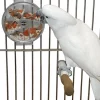 Caitec Featherland Paradise Foraging Wheel Bird Toy -Wellness CORE || Caitec Sales 2022 311603 MAIN. SY630 V1626734512