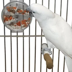 Caitec Featherland Paradise Foraging Wheel Bird Toy