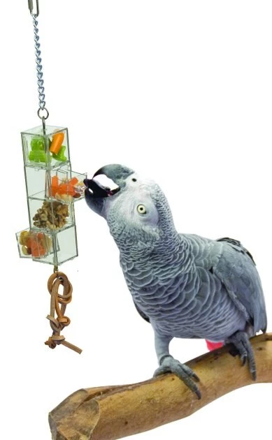 Caitec Featherland Paradise Sliding Doors Pull Our Drawers Bird Toy 3 Caitec Featherland Paradise Sliding Doors Pull Our Drawers Bird Toy