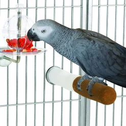 Caitec Featherland Paradise Cagemount Buffet Ball Fillable Ball Bird Toy -Wellness CORE || Caitec Sales 2022 311629 PT2. SY630 V1626733573