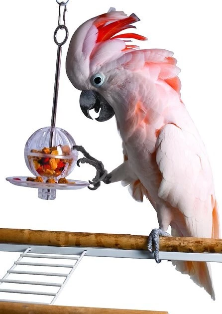 Caitec Featherland Paradise Fillable Ball & Kabob Bird Toy 4 Caitec Featherland Paradise Fillable Ball & Kabob Bird Toy - Image 2