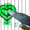 Caitec Featherland Paradise Mastermind Heart Bird Toy -Wellness CORE || Caitec Sales 2022 311647 MAIN. SY630 V1626732408