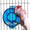 Caitec Featherland Paradise Mastermind Circle Bird Toy -Wellness CORE || Caitec Sales 2022 311649 MAIN. SY630 V1626734520