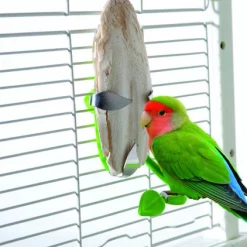 Caitec Featherland Paradise Cuttlebone Holder Bird Toy