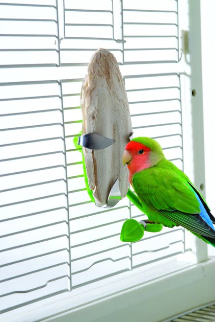 Caitec Featherland Paradise Cuttlebone Holder Bird Toy 3 Caitec Featherland Paradise Cuttlebone Holder Bird Toy
