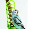 Caitec Featherland Paradise Plastic Millet Holder Bird Toy -Wellness CORE || Caitec Sales 2022 311674 MAIN. SY630 V1626731227