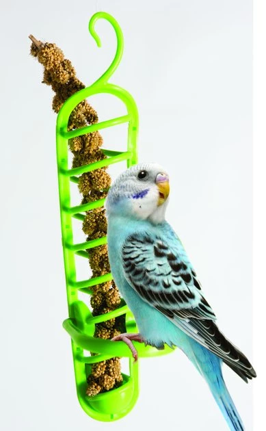 Caitec Featherland Paradise Plastic Millet Holder Bird Toy 3 Caitec Featherland Paradise Plastic Millet Holder Bird Toy