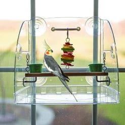 Caitec Featherland Paradise Bird Window Play Center Bird Toy
