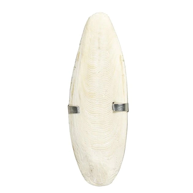 Caitec Featherland Paradise Cuttlefish Bone Bird Toy 3 Caitec Featherland Paradise Cuttlefish Bone Bird Toy