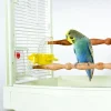 Caitec Featherland Paradise Cage Mounted Hooded Cup Bird Toy -Wellness CORE || Caitec Sales 2022 311694 MAIN. SY630 V1626734495