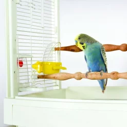 Caitec Featherland Paradise Cage Mounted Hooded Cup Bird Toy