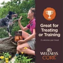 Wellness CORE Tiny Trainers Tender Turkey & Pomegranate Dog Treats, 6-oz bag, 6-oz bag -Wellness CORE || Caitec Sales 2022 352527 PT3. SY630 V1641483683