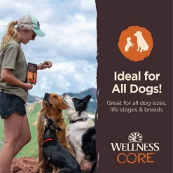 Wellness CORE Tiny Trainers Tender Turkey & Pomegranate Dog Treats, 6-oz bag, 6-oz bag -Wellness CORE || Caitec Sales 2022 352527 PT4. SY630 V1641489985