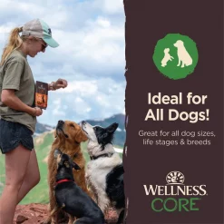 Wellness CORE Tiny Trainers Tender Treats Lamb Dog Treat 15 Wellness CORE Tiny Trainers Tender Treats Lamb Dog Treat -Wellness CORE || Caitec Sales 2022 352529 PT4. SY630 V1641483715
