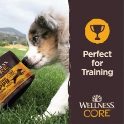 Wellness CORE Brainiac Puppy Beef & Turkey Soft Training Dog Treats, 3-oz bag -Wellness CORE || Caitec Sales 2022 352531 PT3. SY630 V1641483701
