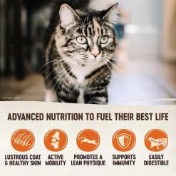 Wellness CORE Grain-Free Original Formula Dry Food + Signature Selects Shredded Boneless Chicken & Chicken Liver Entree in Sauce Grain-Free Canned Cat Food -Wellness CORE || Caitec Sales 2022 353442 PT3. SY630 V1639526486