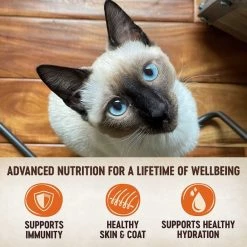 Wellness CORE Grain-Free Original Formula Dry Food + Signature Selects Shredded Boneless Chicken & Chicken Liver Entree in Sauce Grain-Free Canned Cat Food -Wellness CORE || Caitec Sales 2022 353442 PT7. SY630 V1639525896