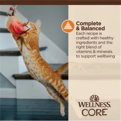 Wellness CORE Tiny Tasters Chicken Grain-Free Minced Wet Cat Food, 1.75-oz pouch, case of 12 -Wellness CORE || Caitec Sales 2022 363905 PT3. SY630 V1649115420