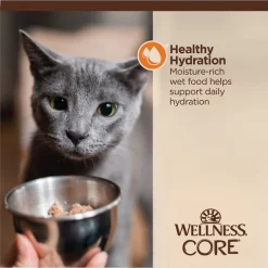 Wellness CORE Tiny Tasters Chicken Grain-Free Minced Wet Cat Food, 1.75-oz pouch, case of 12 -Wellness CORE || Caitec Sales 2022 363905 PT4. SY630 V1649113313