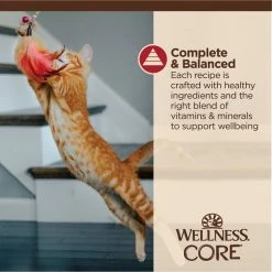 Wellness CORE Tiny Tasters Chicken & Beef Grain-Free Minced Wet Cat Food, 1.75-oz pouch, case of 12 -Wellness CORE || Caitec Sales 2022 363907 PT3. SY630 V1649122601