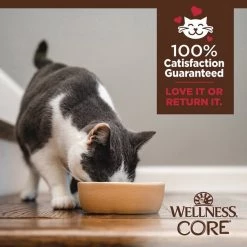 Wellness CORE Tiny Tasters Chicken & Beef Grain-Free Minced Wet Cat Food, 1.75-oz pouch, case of 12 -Wellness CORE || Caitec Sales 2022 363907 PT5. SY630 V1649109993