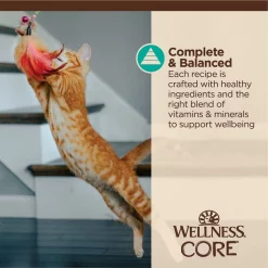 Wellness CORE Tiny Tasters Tuna & Salmon Grain-Free Flaked Wet Cat Food, 1.75-oz pouch, case of 12 -Wellness CORE || Caitec Sales 2022 363909 PT3. SY630 V1649126197